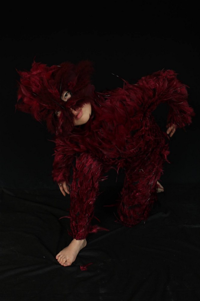 L'oiseau rouge, costume de Arnaud Degouy